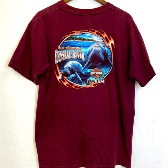 Harley Davidson - Burgundy Manatee Crystal Rivers Short Sleeve Shirt Size Large - Picture 9 of 10